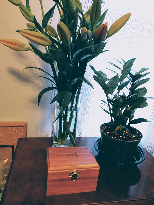 Molly's ashes in the little cedar box.