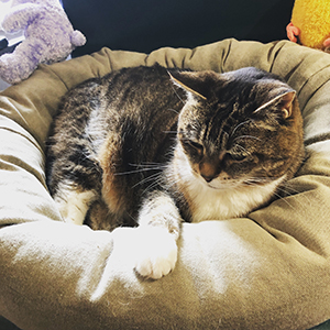 Molly in her bed.